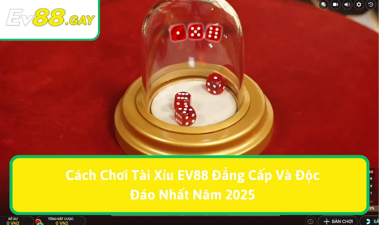 cach choi tai xiu ev88 anh dai dien Cách chơi Tài Xỉu